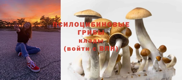 прущая мука Киреевск