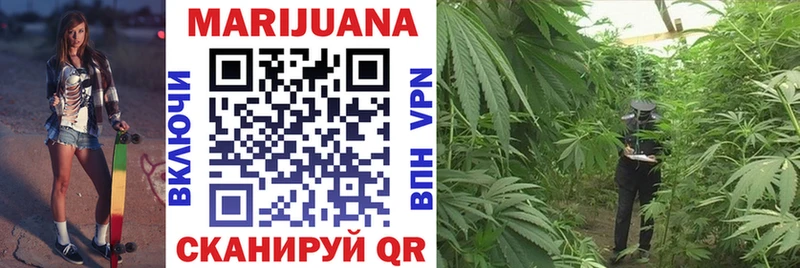 Купить закладки  Сортавала  Бошки Шишки гибрид 